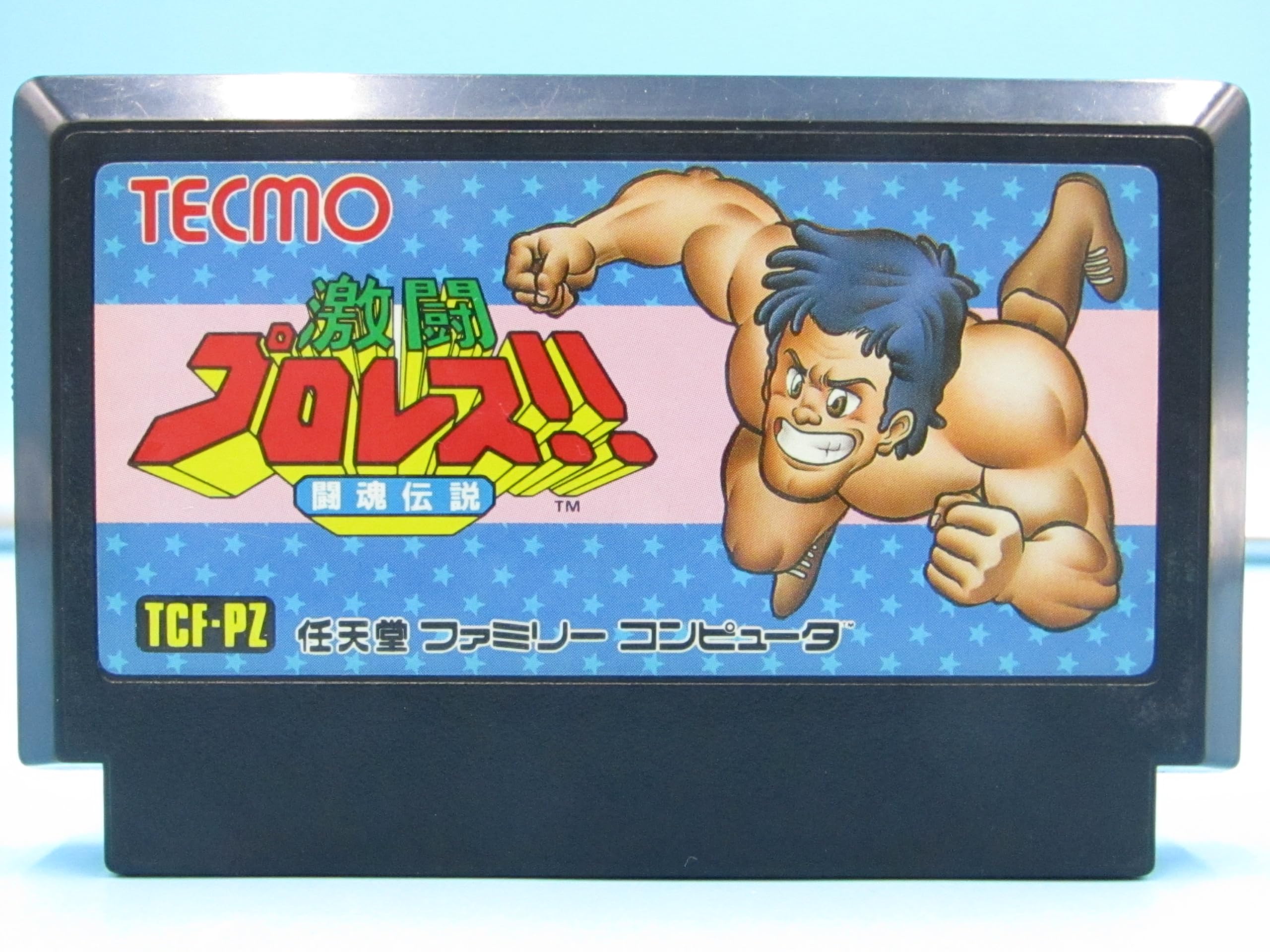 【中古】激闘プロレス闘魂伝説 ファミコン　箱なし