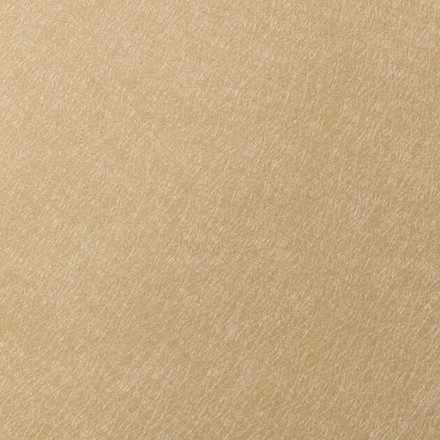 REATEC リアテック　粘着剤付き化粧フィルム　メタリック　TR-4418