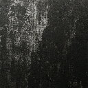 有償サンプル 3M(TM) ダイノック(TM) フィルム AE-2155 (規定サイズ W:1220mm×H:1000mm )