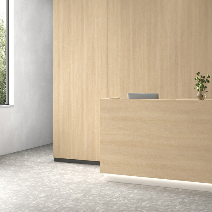 ����ƥ��Ρ�����ѥ��ȥޥåȡ�����VIP536MT