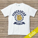オリジナルDOG名入れTシャツ【dog college】　ポメラニアン