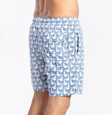 Tom & Teddy Seagull Ice Blue シーガル・アイスブルー トム & テディー メンズ サイズ オーストラリアンスイムウェア 水着 男性用 サーフパンツ ハーフパンツ 海水浴 プール 海パン 生活用品