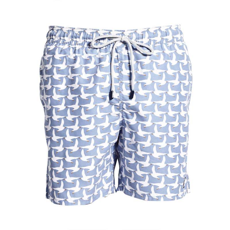 Tom & Teddy Seagull Ice Blue シーガル・アイスブルー トム & テディー メンズ サイズ オーストラリアンスイムウェア 水着 男性用 サーフパンツ ハーフパンツ 海水浴 プール 海パン 生活用品