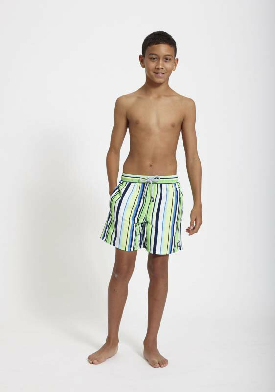 Tom & Teddy Stripe Blue & Green ȥ饤ס֥롼&꡼ ȥ & ƥǥ å  ȥ...