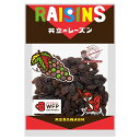 共立 レーズン 90g 1袋