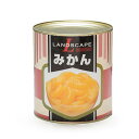 【マラソンP2倍】ランドスケープ みかんM 1号 総量3000g 固形1700g 1号缶 1缶