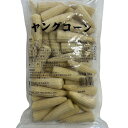 【マラソンP2倍】【ケース販売 20個入1ケース】京果食品 ヤングコーン ホール 500g 1袋
