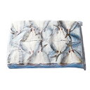 【ケース販売 4個入1ケース】開きあじ 100尾 4kg 1箱