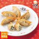 【メーカー取寄品】テーブルマーク 鉄腕ギョーザ(ひじき・Fe入り) Y04 18g×300個 1ケース 中華
