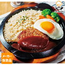 【マラソンP2倍】【メーカー取寄品】テーブルマーク ソフトグリルハンバーグ 100 B06 100g×100個 1ケース ハンバーグ