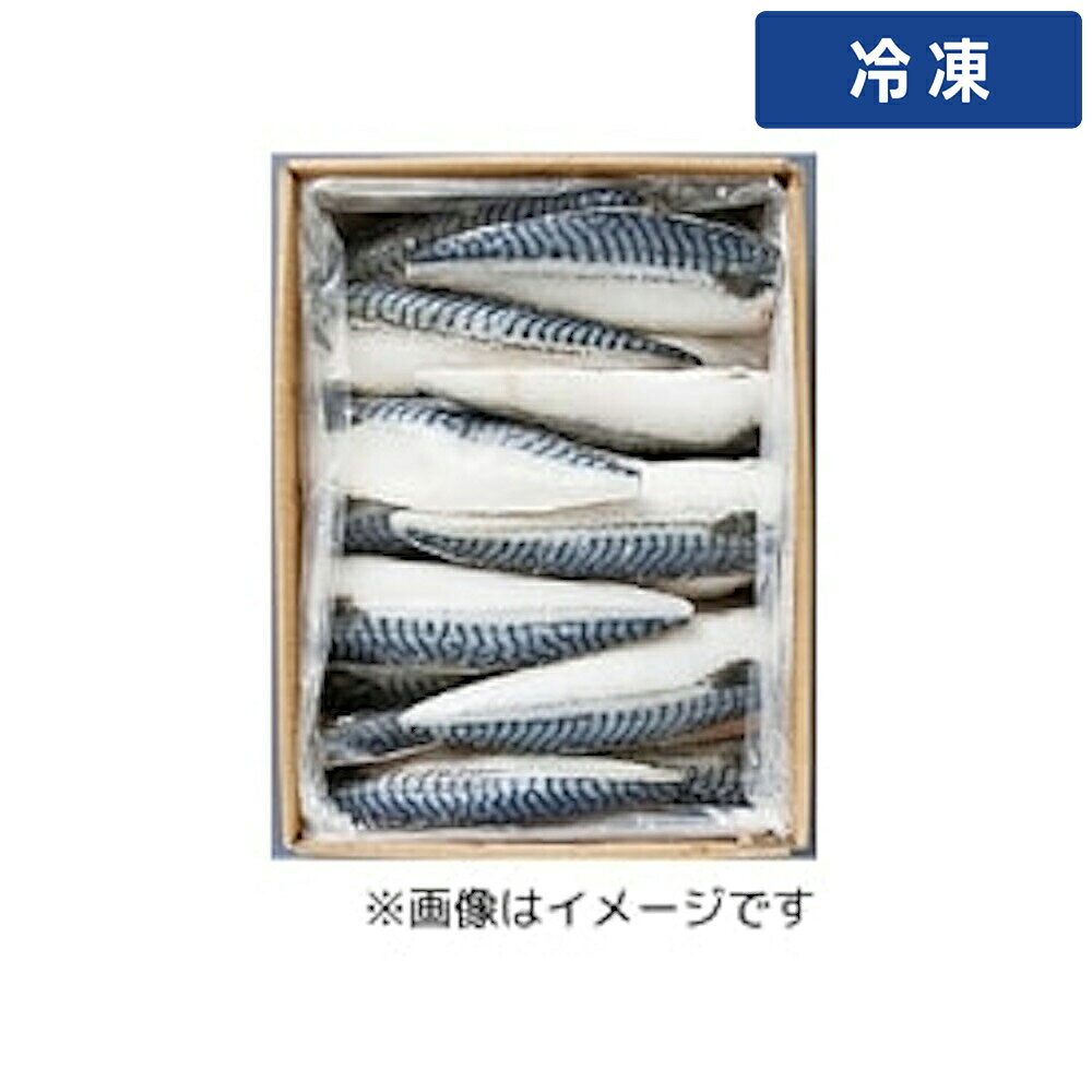 Chub Mackerel - 【冷凍便】 【ケース販売 2個入1ケース】サバフィーレ 5kg 1箱