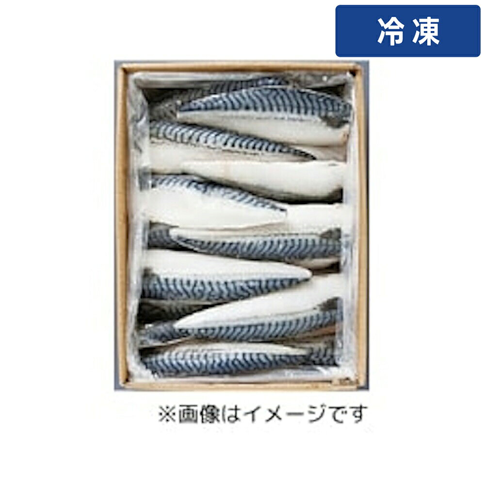 Chub Mackerel - 【冷凍便】 【ケース販売 2個入1ケース】サバフィーレ 5kg 1箱