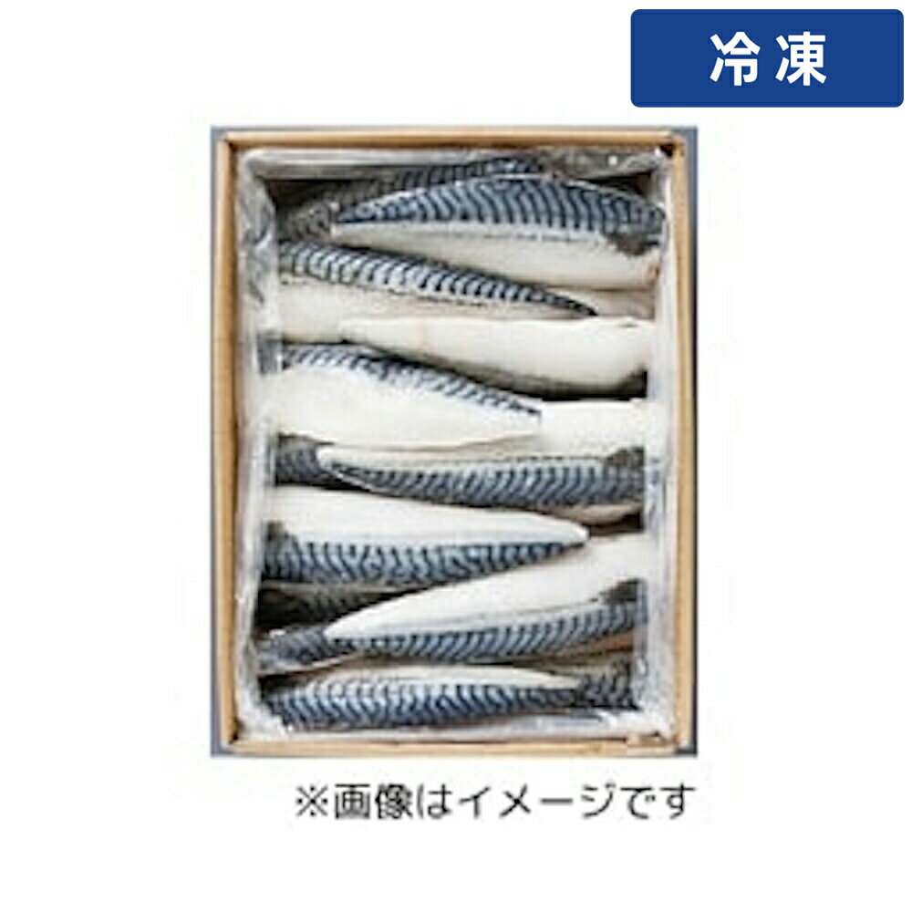 Chub Mackerel - 【冷凍便】 サバフィーレ 5kg 1箱