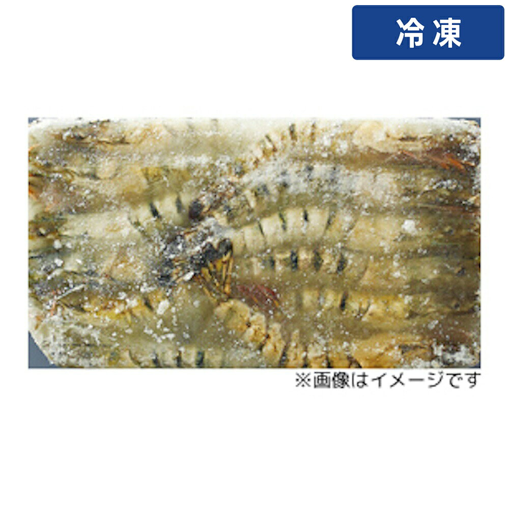 Other - 【冷凍便】 BT 有頭エビ 60尾 1.3kg 1枚