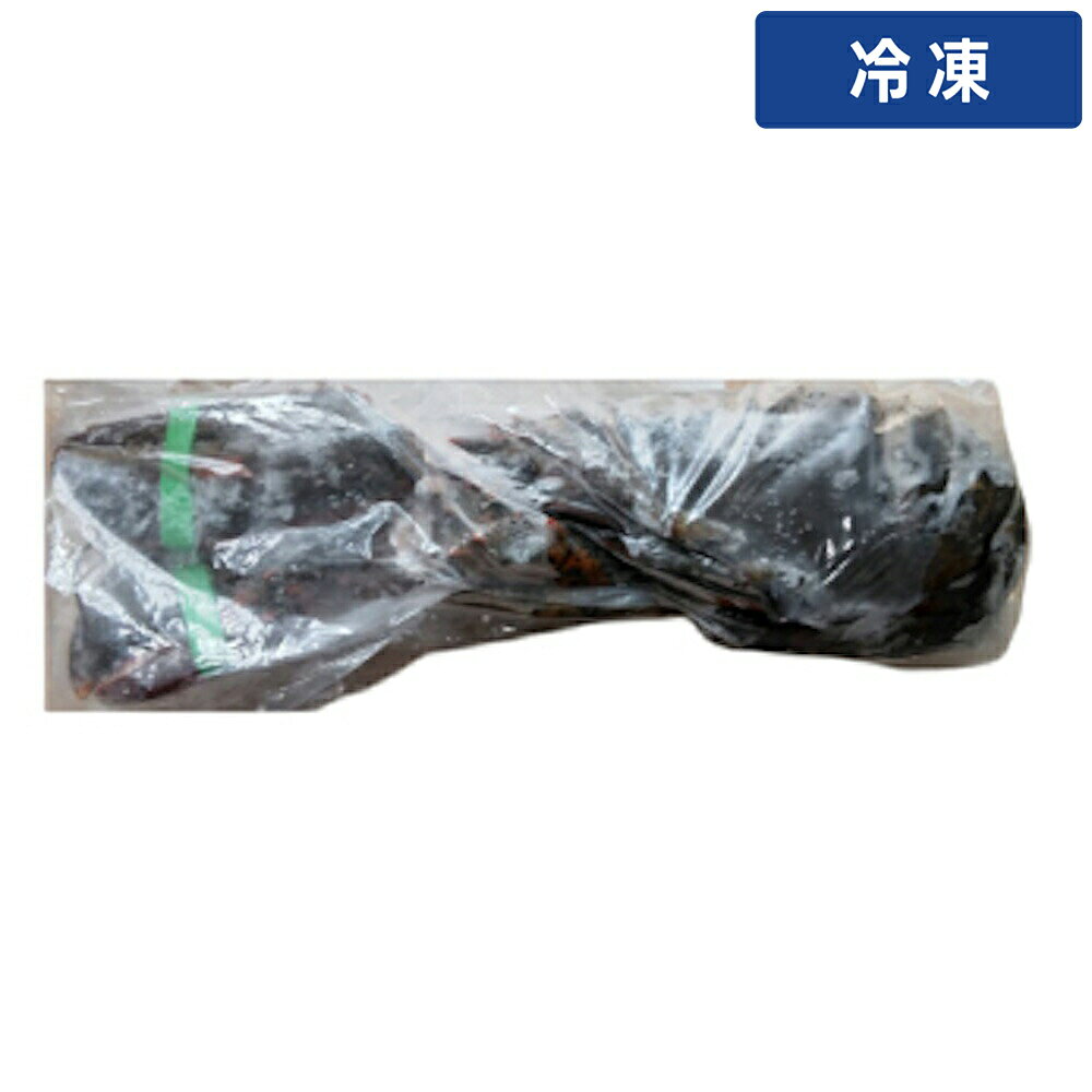 Other - 【冷凍便】 光 生冷 オマール 約0.5kg 1kg