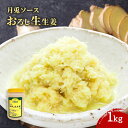 【ケース販売 12個入1ケース】月兎 おろし生生姜 1,000g 1個 冷蔵 しょうが ショウガ 生姜 業務用 大容量 業務用食品 お買得 お得 大袋 大サイズ プロ用 プロ仕様 Get Market 月兎ソース ゲットマーケット