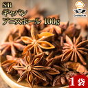 ギャバン アニスホール 100g 1袋 GABAN スパイス 香辛料