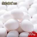 【マラソンP2倍】【ケース販売 1個入1ケース】生たまご 10kg 1箱 MSサイズ 玉子 卵 業務用 大容量 業務用食品 お買得 お得 大袋 大サイズ プロ用 プロ仕様 Get Market 月兎ソース ゲットマーケット