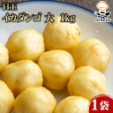 日玉 イカダンゴ 大 1kg 1袋 冷凍 いか団子 業務用 大容量 業務用食品 お買得 お得 大サイズ プロ用 プロ仕様 Get Market 月兎ソース ゲットマーケット
