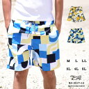 海水パンツ メンズ 水着 速乾 水陸両用 スイムパンツ インナー付き ハーフパンツ 送料無料 大きいサイズ 3l 4l 5l 2025SS ns-2517-12