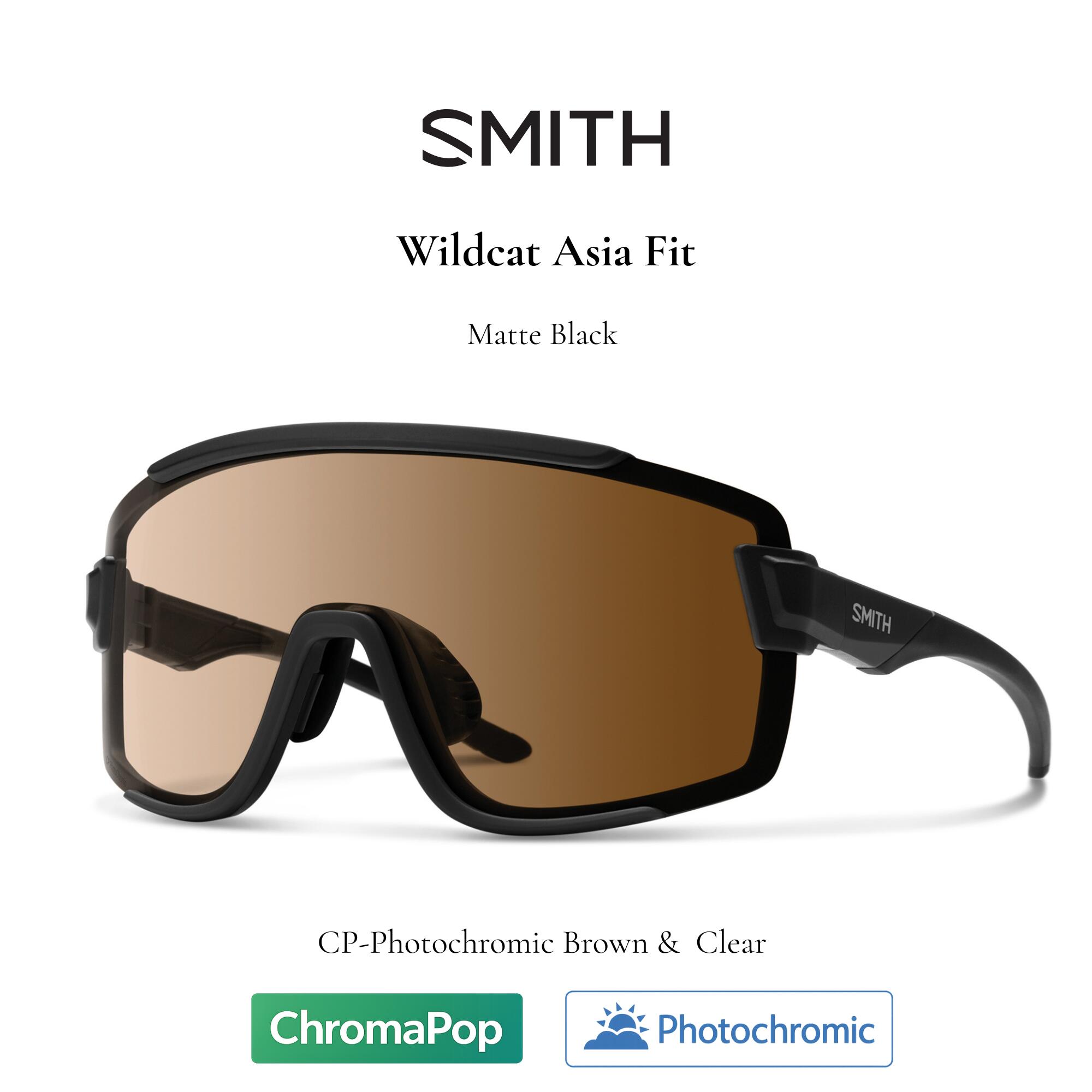 SMITH スミス サングラス 【 Wildcat Matte Black 】 フィッシング アウトドア ファッション サーフィン キャンプ 自転車 ランニング 調光