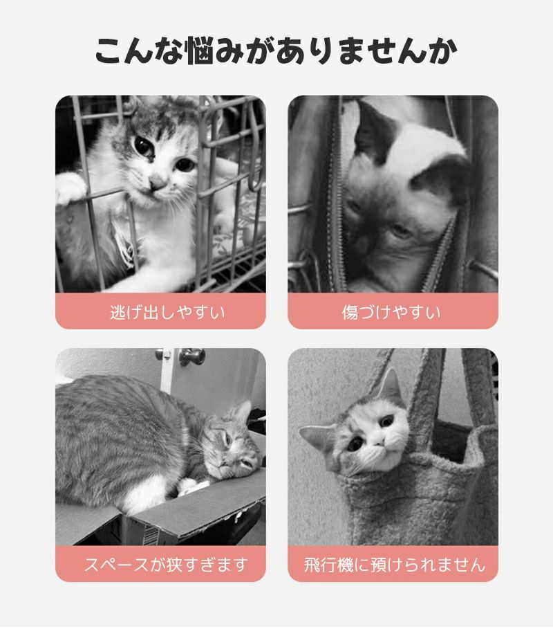 GFオンライン楽天市場店のペット用ハードキャリーケース 犬 猫 小型犬 キャリー コンテナ クレート お出かけ 旅行 通院 飛行機 ドライブ用｜アングル2