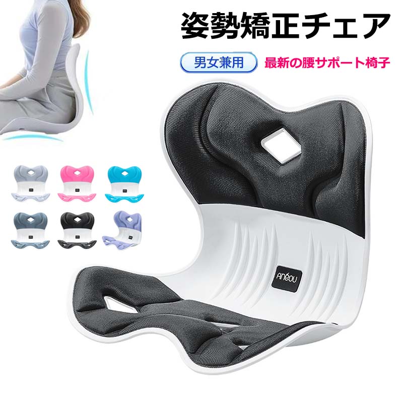 椅子 人体工学 クッション 高反発 メモリー綿 骨盤から腰をサポート 腰当て 軽量 クッション てこの原理 通気性 100kgに耐え オフィス テレワ