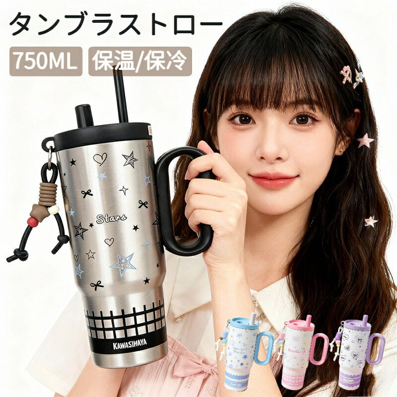 Rakuten - タンブラー ストロー付き 750ml 水筒 大容量 持ち運び 車載用タンブラー レディース アウトドア スポーツボトル オフィス ギフト対応 軽量 漏れ防止