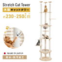 【楽天スーパーSALE限定価格・全店ポイント5倍】キャットタワー 木製 据え置き 猫タワー 突っ張り 多頭飼い 爪とぎ 透明宇宙船 おしゃれ 大型猫 猫用品 安定性抜群 段階 猫ハウス タワー スリム 猫 ネコ 猫用 運動不足 ストレス解消 cat-t3250jp