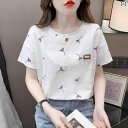 スタ で シフォンシャツ 美しい の スタイル 新 Tシャツ 半袖 ショルダー ストレート レディース 2025夏の レディース トップス