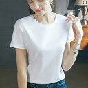 アセテ ショルダー ストレート スリムフィット 2025夏 レディース Tシャツ 半袖 コットン シルケット 高級 レディース トップス