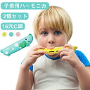 2 プレゼント 子供 【2個セット】子供用楽器 音の出るおもちゃ 16穴 C調 楽器 入門 初心者 女の子 楽器玩具 吹きやすい おもちゃ