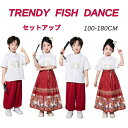 女の子 子供服 スカートセット カジュア ホワイト 夏 ダンス衣装 レッド セットアップ チャイナ風 馬顔スカート 漢服 男の子