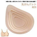 空洞 乳がんパット 乳がんパッド バスト補正 ボディメイク 乳癌 人工乳房 軽量フルカップ パット 乳がんパッド 乳がん用 乳がん