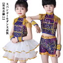 コスプ ラテンダンス ダンス衣装 女の子 ジャズチア JAZZ セットアップ 女の子 男の子 子供服 衣装 ダンス バレエ カラフル 上下