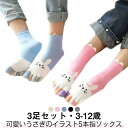 靴 3足 3足組 おしゃれ 女の子 男の子 子供用 5本指靴下 くつした クルー丈 うさぎ 可愛い 5本指ソックス キッズ 靴下 3足セット