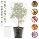 鳥 みかん 果樹園 DIY 植物保護袋 植物保護カバー 2枚セット 網 プランター 菜園 園芸用ネット 防虫ネット 防鳥ネット 鉢植え用