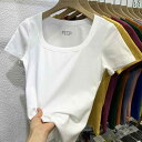 トップ コットン ベーシック 無地 シンプル スリム 夏 レディース Tシャツ 半袖 露出 鎖骨 スクエアネック レディース トップス