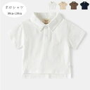 通学 普段着 カジュアル tシャツ 無地 幼児 双子 兄弟 ネイビー ブラウン ページュ ホワイト かっこいい 夏着 ポロシャツ 男の子