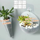 ウォールデコ インテリア 観葉植物 シンプル コンパクト フック付き 壁掛け 割れない 2個セット プラスチック フラワーベース
