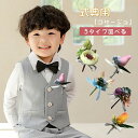 入学式 小 結婚式 フォーマル 入園式 ブローチ 幼稚園 男の子 胸花 コサージュ 発表会 花飾り 子供 胸花 卒業式 花 保育 卒園式