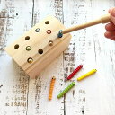 お祝い プレゼント 誕生日 クリスマス 子供 こども 知育玩具 虫取り 開発玩具 教育知能 木製玩具 就学前 ゲーム 磁気 おもちゃ