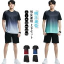 スポーツウェ 吸汗速乾 薄手 ジャージ 短パン 上下 ジャージ ショートパンツ 半袖 上下セット メンズ グラデーション 夏 Tシャツ