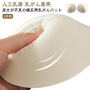 パッド パット 乳がん 人工乳房 ボディメイク 乳がんパット 2枚組 乳がん専用 送料無料 乳がんパッド 肩こり 乳癌 軽量フルカッ