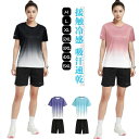 半袖Tシャツ 薄手 セットアップ 接触冷感 短パン スポーツウェア 夏 半袖カットソー 上下セ ストレッチ 吸汗速乾 ショートパンツ