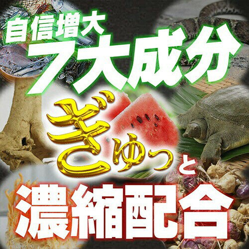 【送料無料】【5箱セット】ザガイラAZ (ZAGAILA AZ) シトルリン アルギニン 亜鉛 マカ マムシ スッポン カキ肉エキス 活力PT倍増