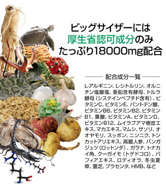 ビッグサイザー BIGSIZER 4箱120日分 18000mg成分 アルギニン シトルリン 亜鉛 マカ マムシ スッポン ビタミンE、パントテン酸、パフィア、ビタミンB2、HMB、葉酸、ビタミンA、ビタミンD、ビタミンB12 ムイラプアママムシ、サソリ トンカットアリなど