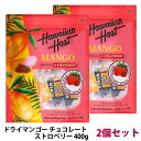 【2個セット】ドライマンゴー チョコレート ストロベリー 400g マンゴー チョコレートフルーツ チョコ フルーツチョコレート いちご 苺 フルーツスイーツ ギフト プレゼント お菓子 スイーツ デザート 大容量 お土産 乾燥マンゴー フルーツチョコ 詰め合わせ 個包装 送料無料(4)