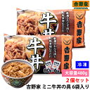 2個セット 冷凍 吉野家 ミニ牛丼の具 80g×6袋セット 温めるだけの簡単調理 牛丼の具 レトルト 時短 便利 お取り寄せグルメ おかず ストック 保存食 冷凍レトルト ご飯のお供 お弁当 丼もの 惣菜 牛肉 国産牛使用 コストコ 人気商品 業務用 吉野家公式 家庭用 食品 送料無料