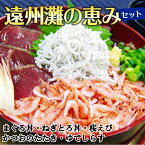 遠州灘の恵みセット まぐろ丼 かつお 桜えび ゆでしらす 国産 遠州灘 静岡県 海鮮 詰め合わせ ギフト 内祝い 紅白 贈り物 国内 プレゼント お歳暮